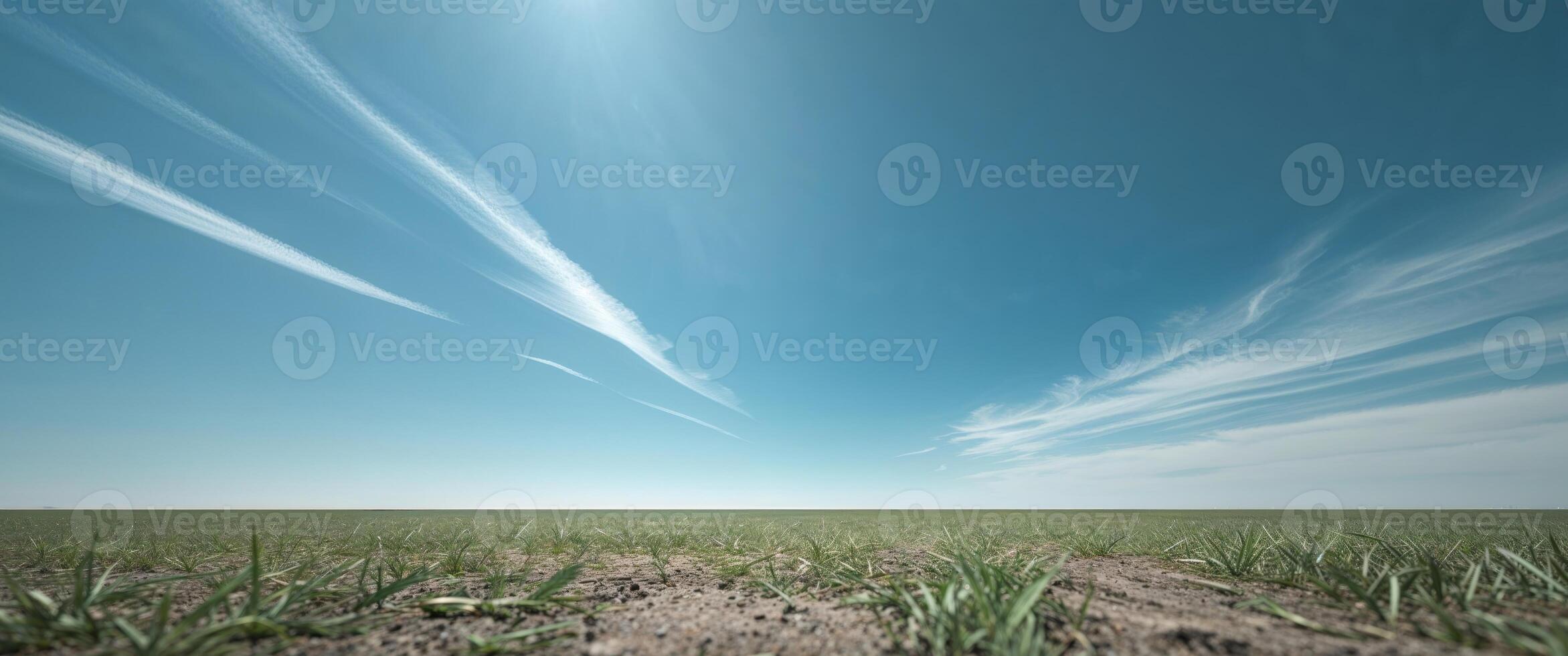 A field with grass and clouds in the sky photo