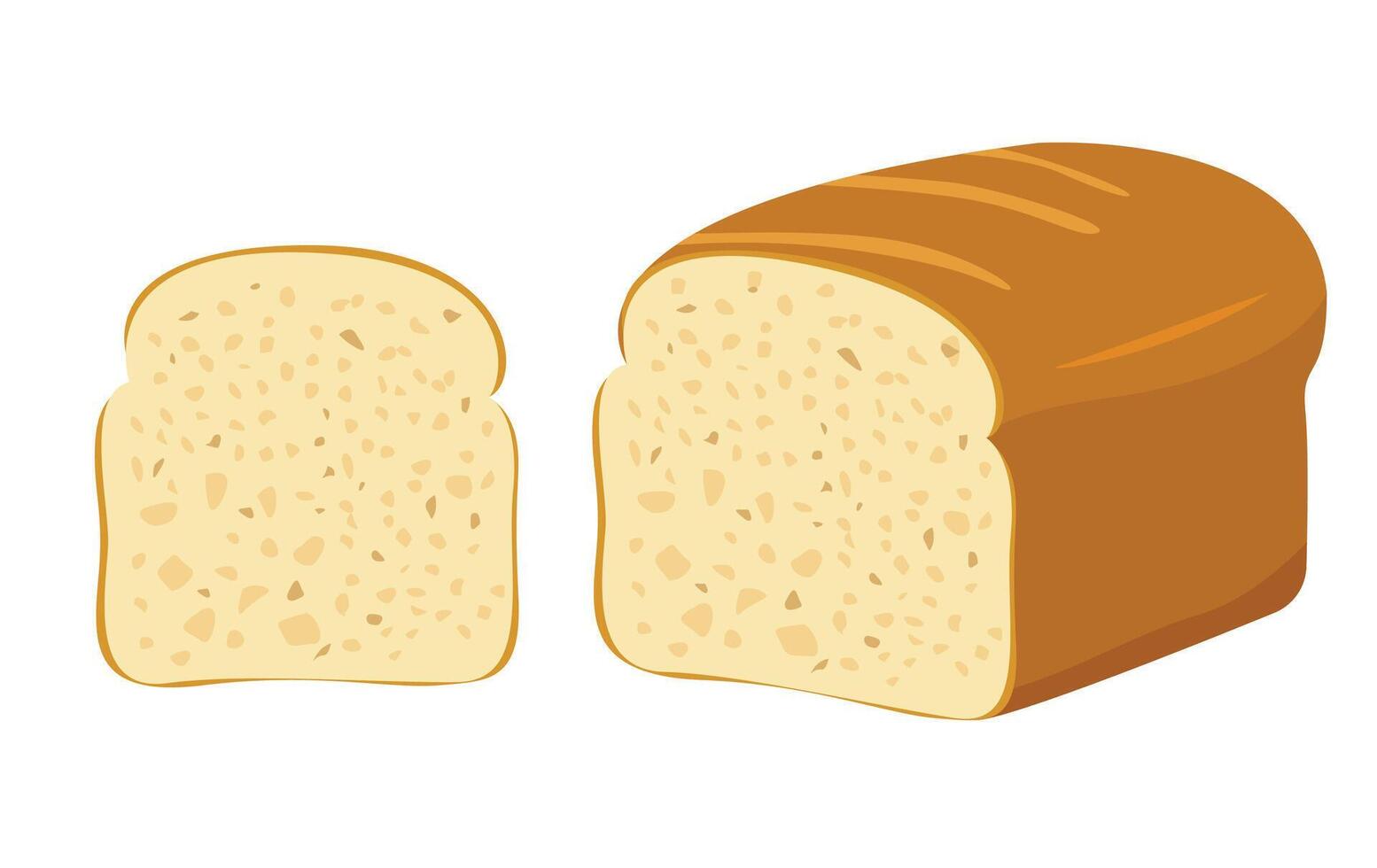 Whole wheat bread , illustration, two toast bread slices vector