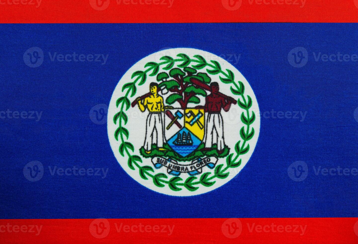 Belize national flag displayed with vibrant colors photo