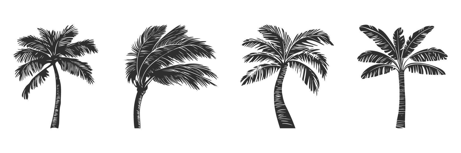 Palm Tree Silhouettes Set. Tropical Nature And Beach Vibes Isolated Illustration Collection vector