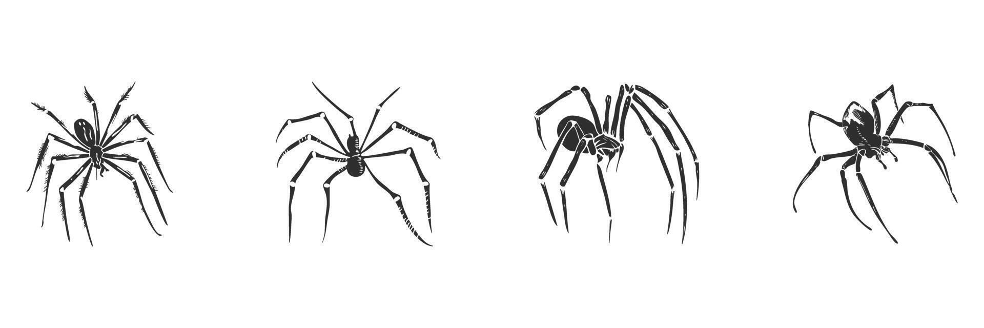 Spider Silhouettes Collection. Arachnid Diversity And Identification Isolated Illustration Set vector
