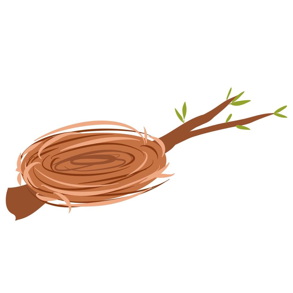 Bird nest on tree branch vector