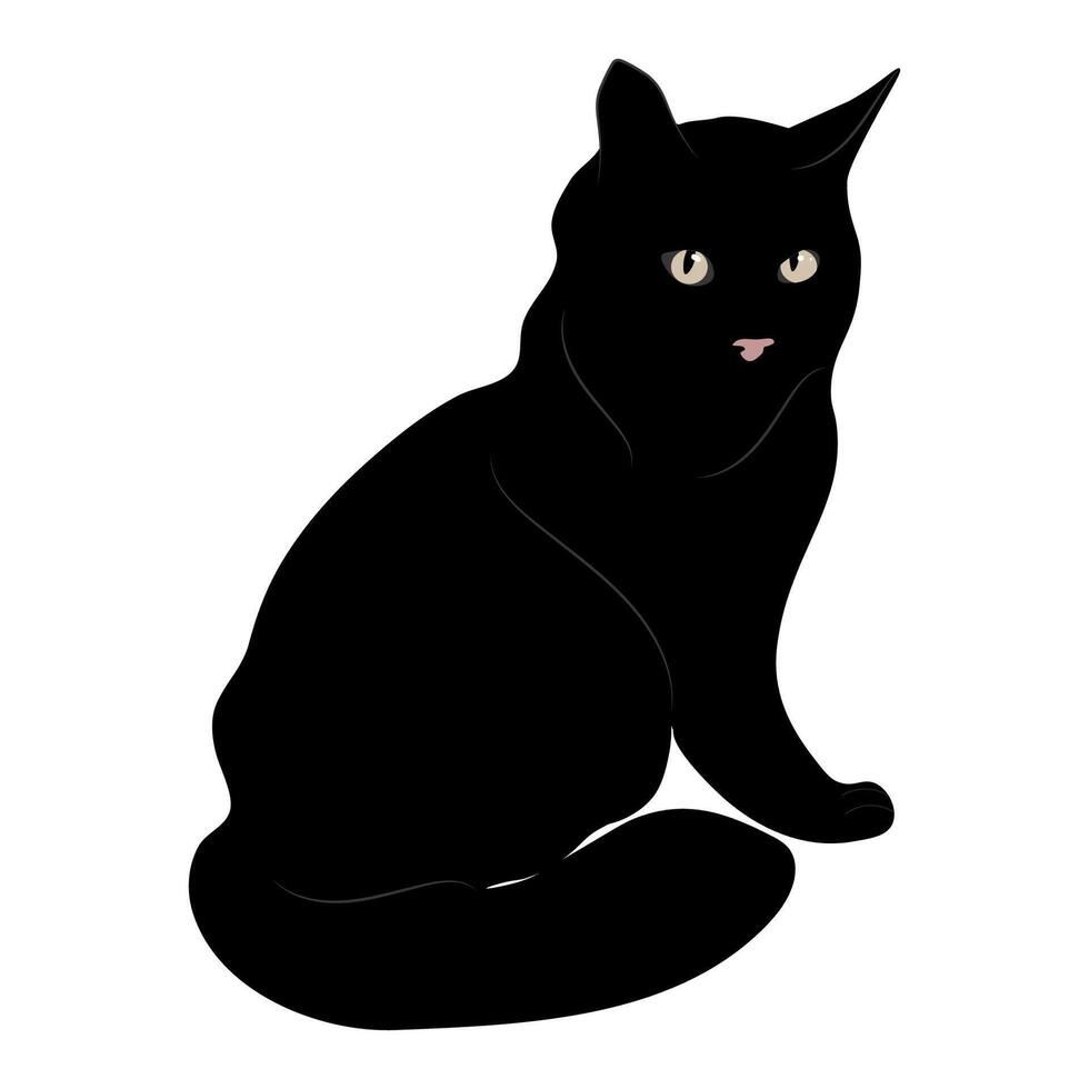 Black cat on an isolated white background. vector