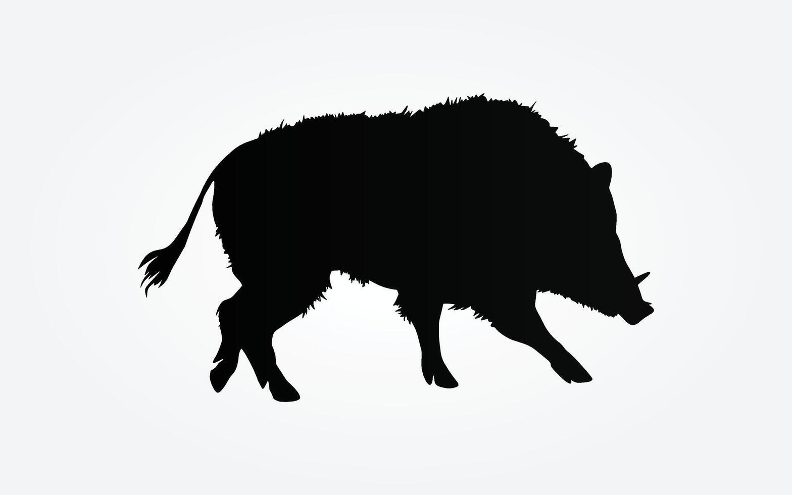 Wild boar silhouette design, illustration vector