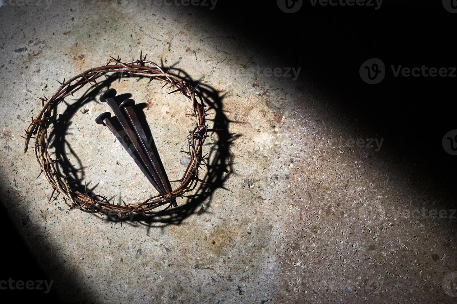 Crown of Thorns and Nails photo