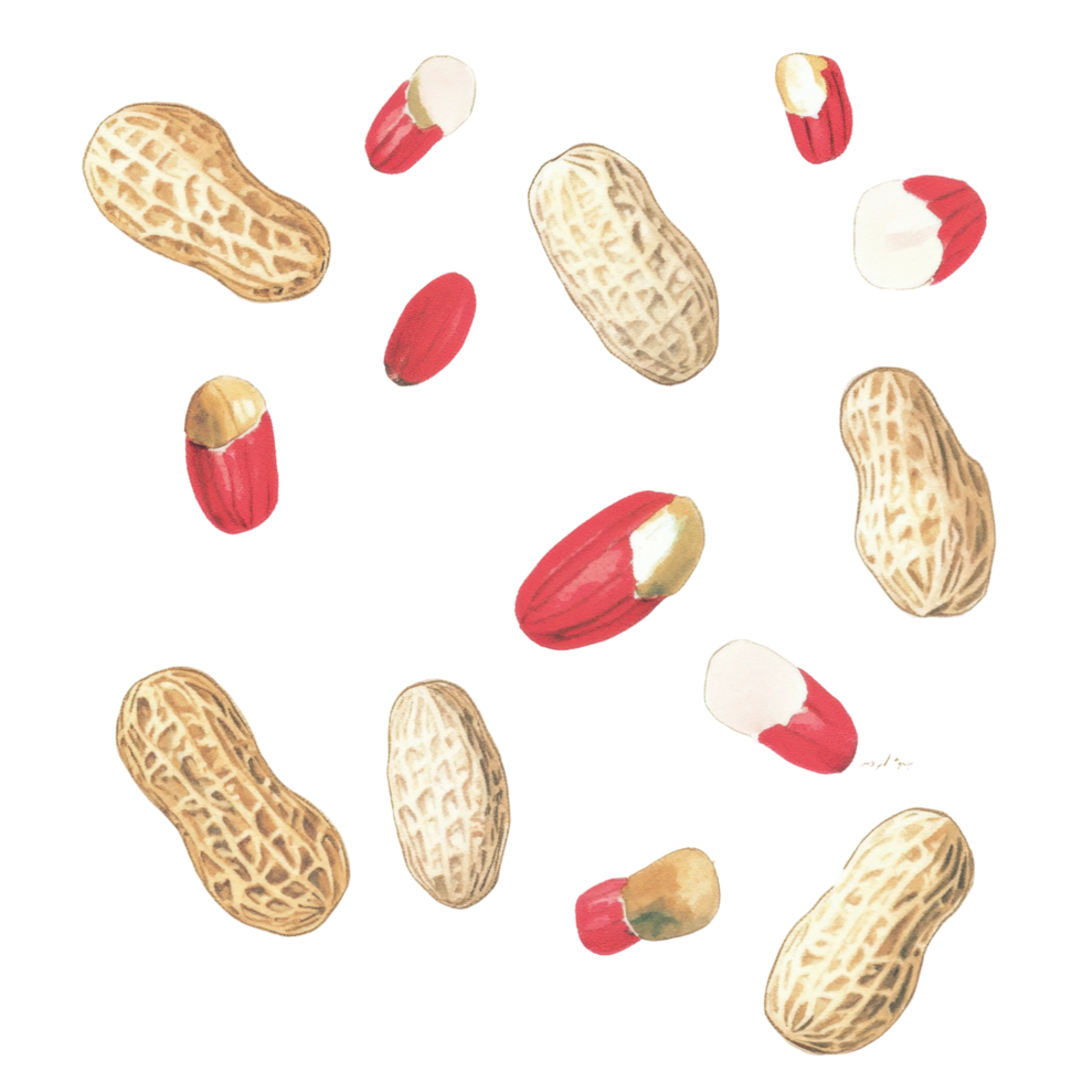 Whole and shelled peanuts scattered png