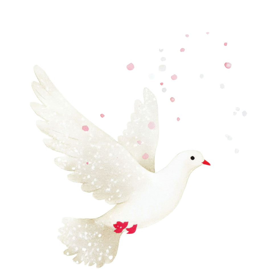 Graceful white dove in flight with falling petals png