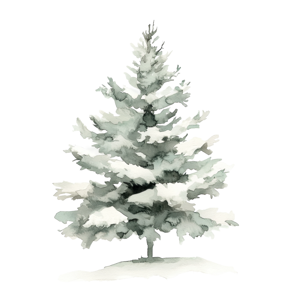 Snow-covered evergreen tree in wintertime nature scene png
