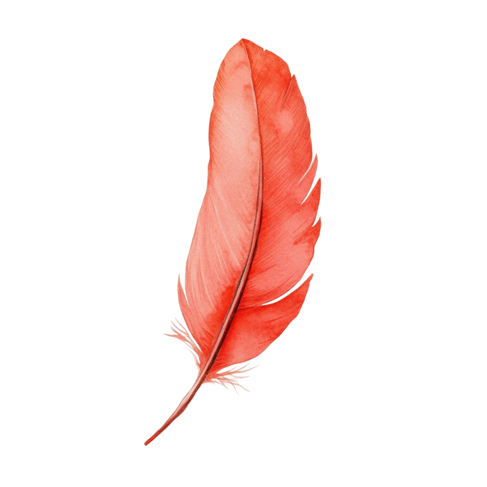 Red feather with intricate details and soft texture in close-up view png