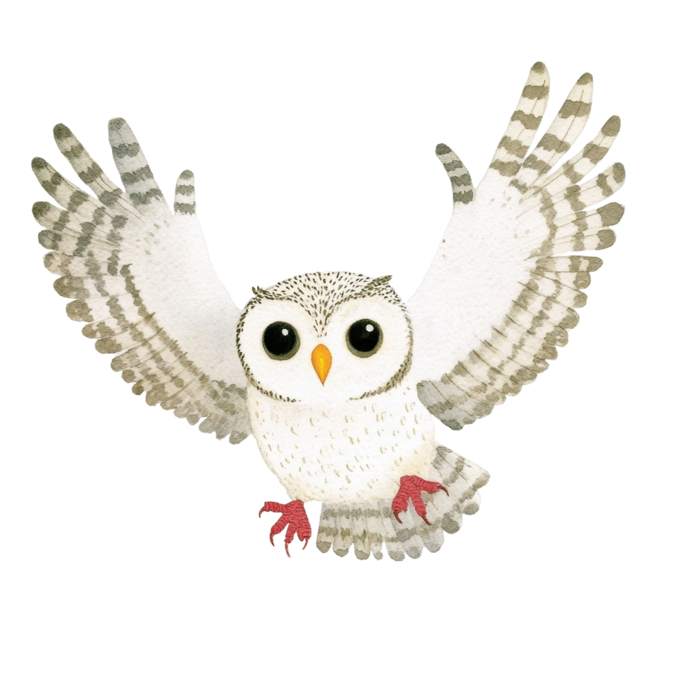 Watercolor owl with outstretched wings in flight png