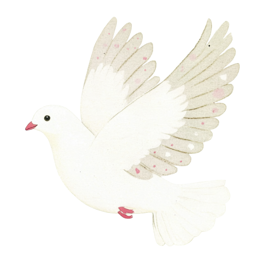 Illustration of a white dove with outstretched wings in flight png