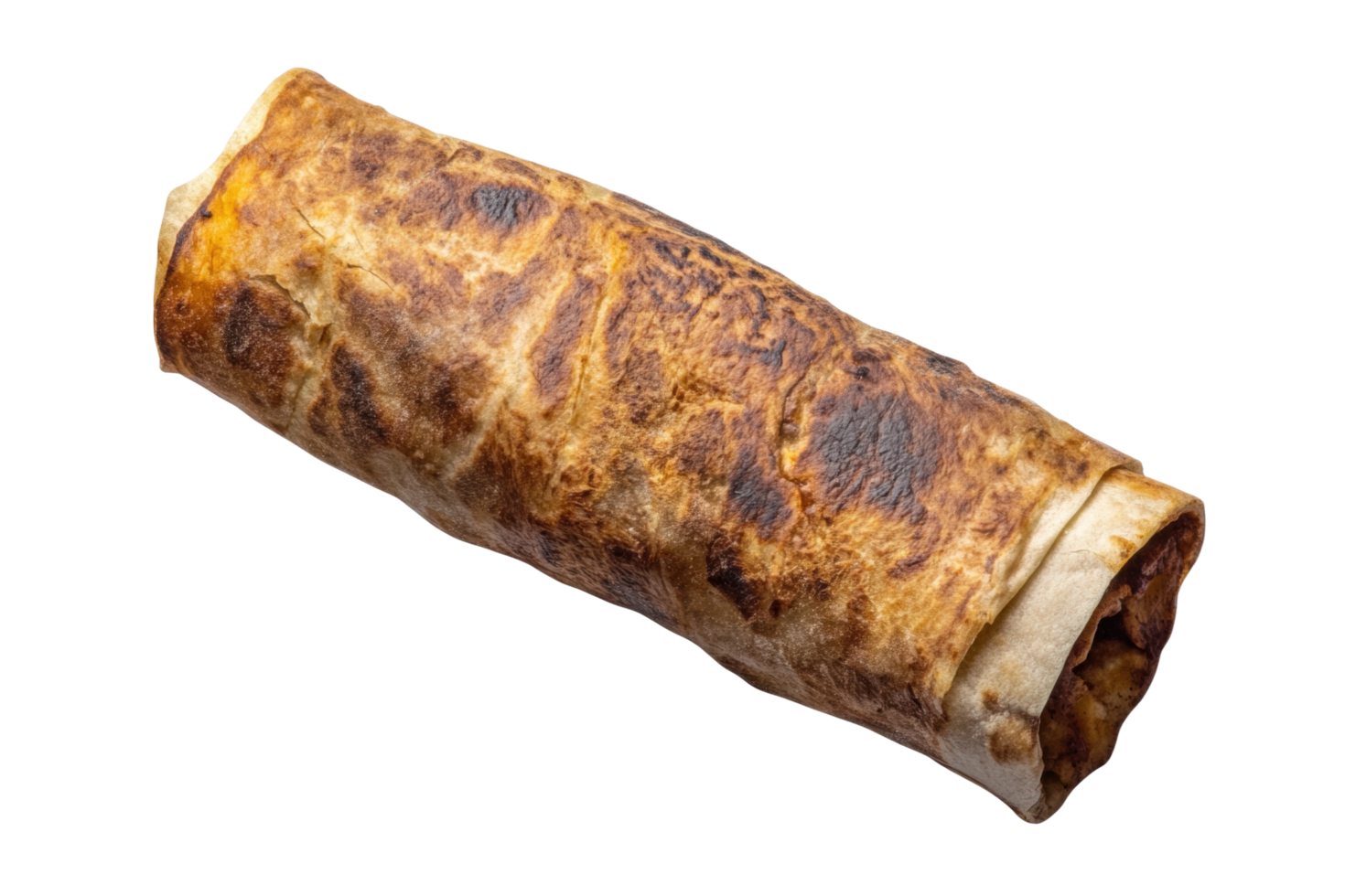 Close-up of a perfectly grilled burrito showing texture and fillings png