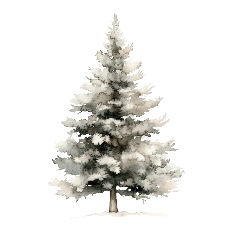 Watercolor winter pine tree with snowy branches png