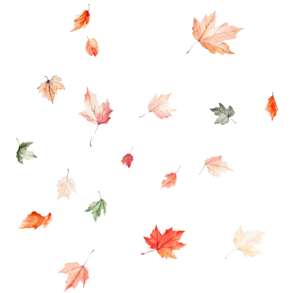 Vibrant autumn leaves in various colors and shapes floating png