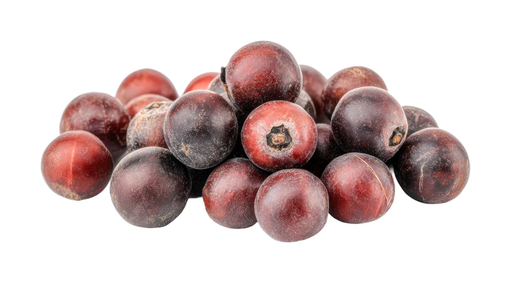 Close-up of fresh juniper berries in a pile png