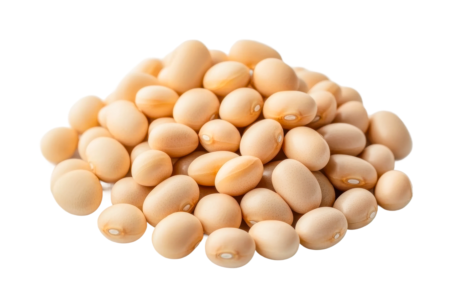 Close-up of dried soybeans pile png