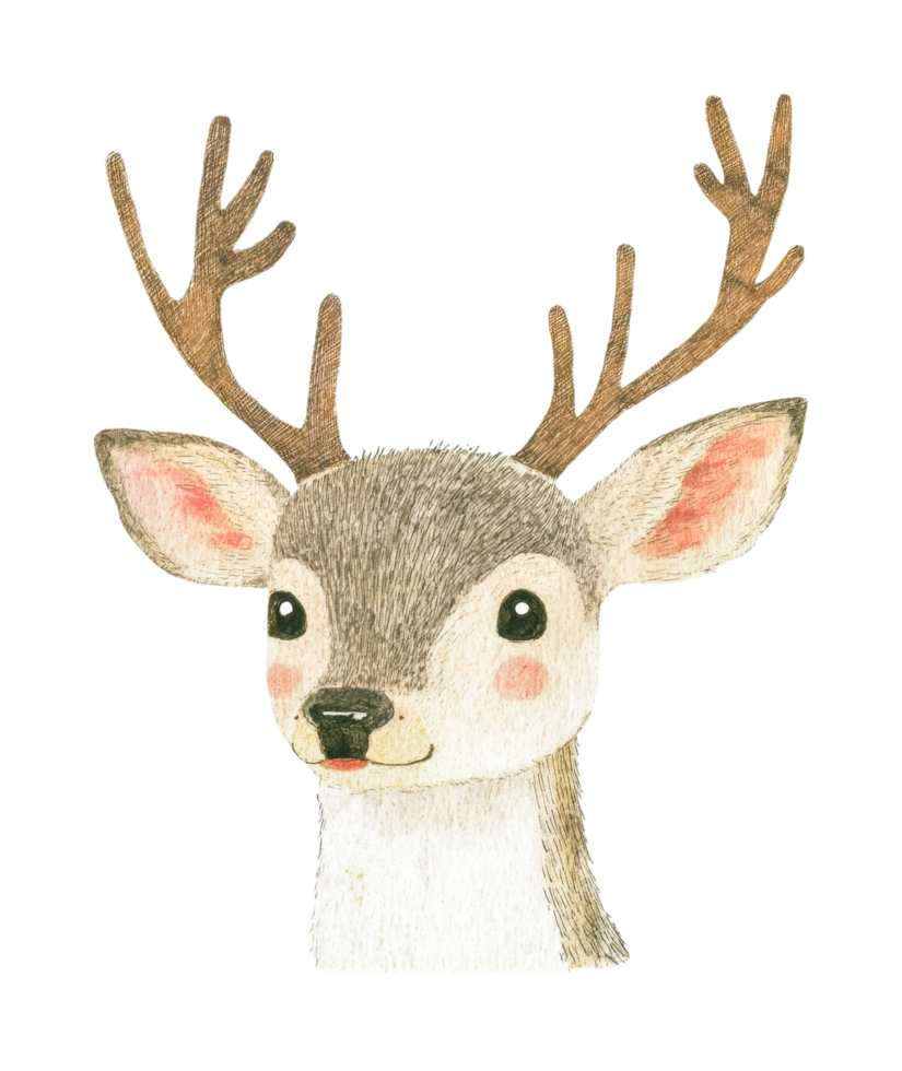 Adorable cartoon deer portrait with antlers and soft expression png