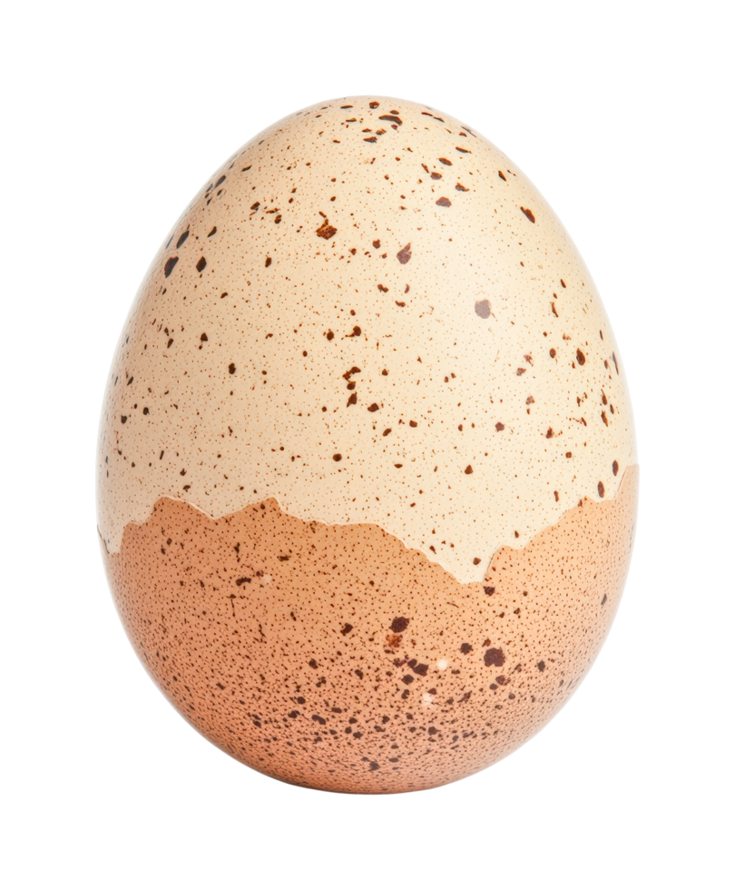 Speckled egg with two-tone shell on solid background png