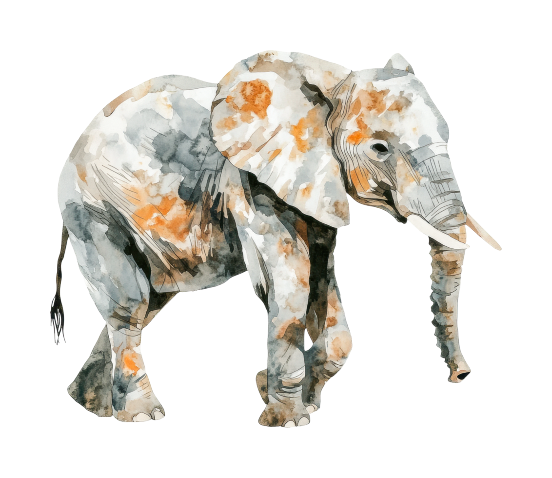 Watercolor elephant artwork featuring majestic animal design png