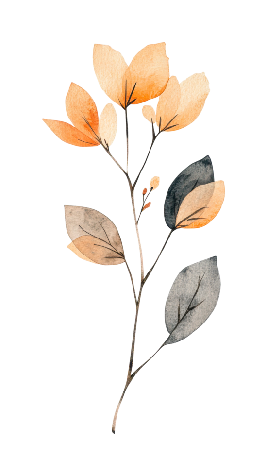 Elegant botanical art with delicate orange and gray leaves png