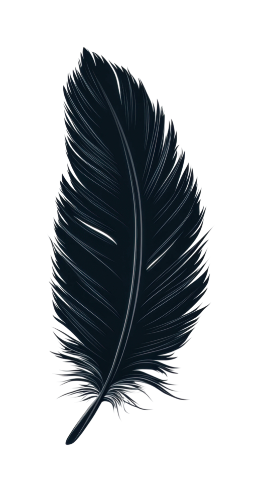 Detailed black feather illustration with subtle texture png