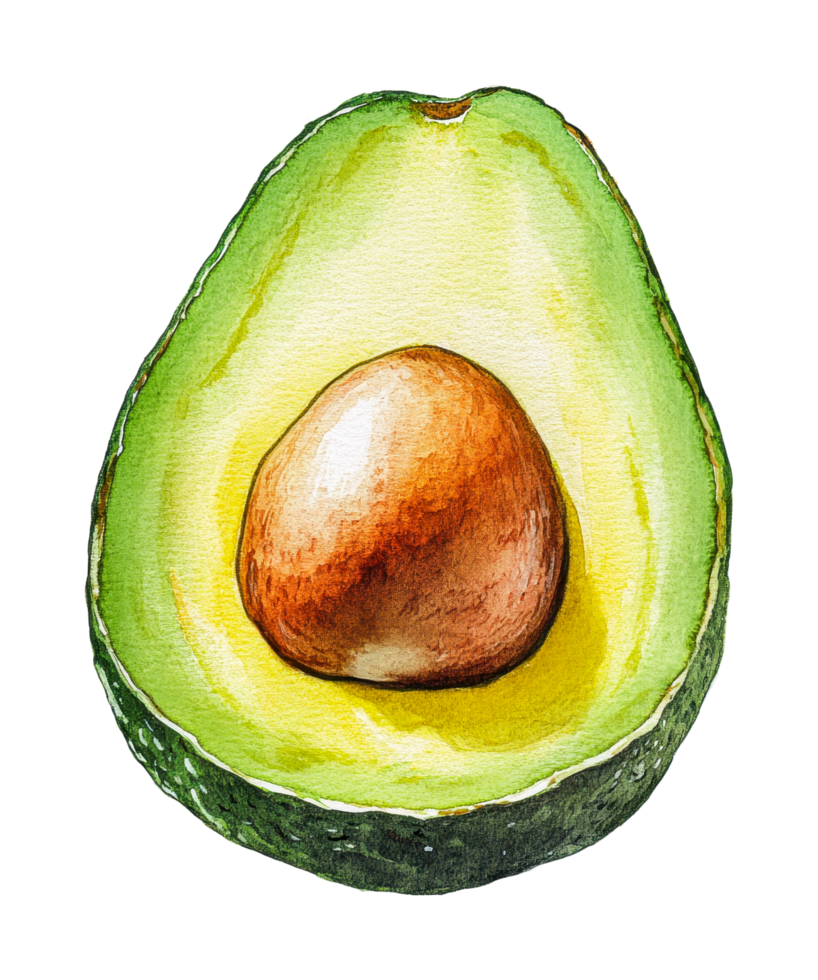 Watercolor illustration of a freshly sliced avocado with seed png