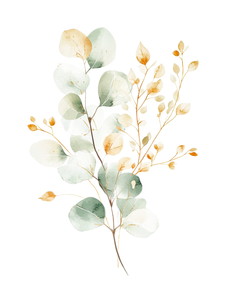 Elegant eucalyptus and golden foliage arrangement png