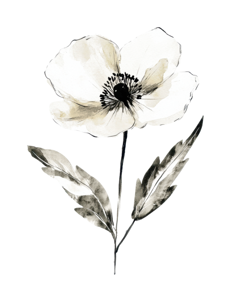 Elegant watercolor flower art with delicate petals and leaves design png
