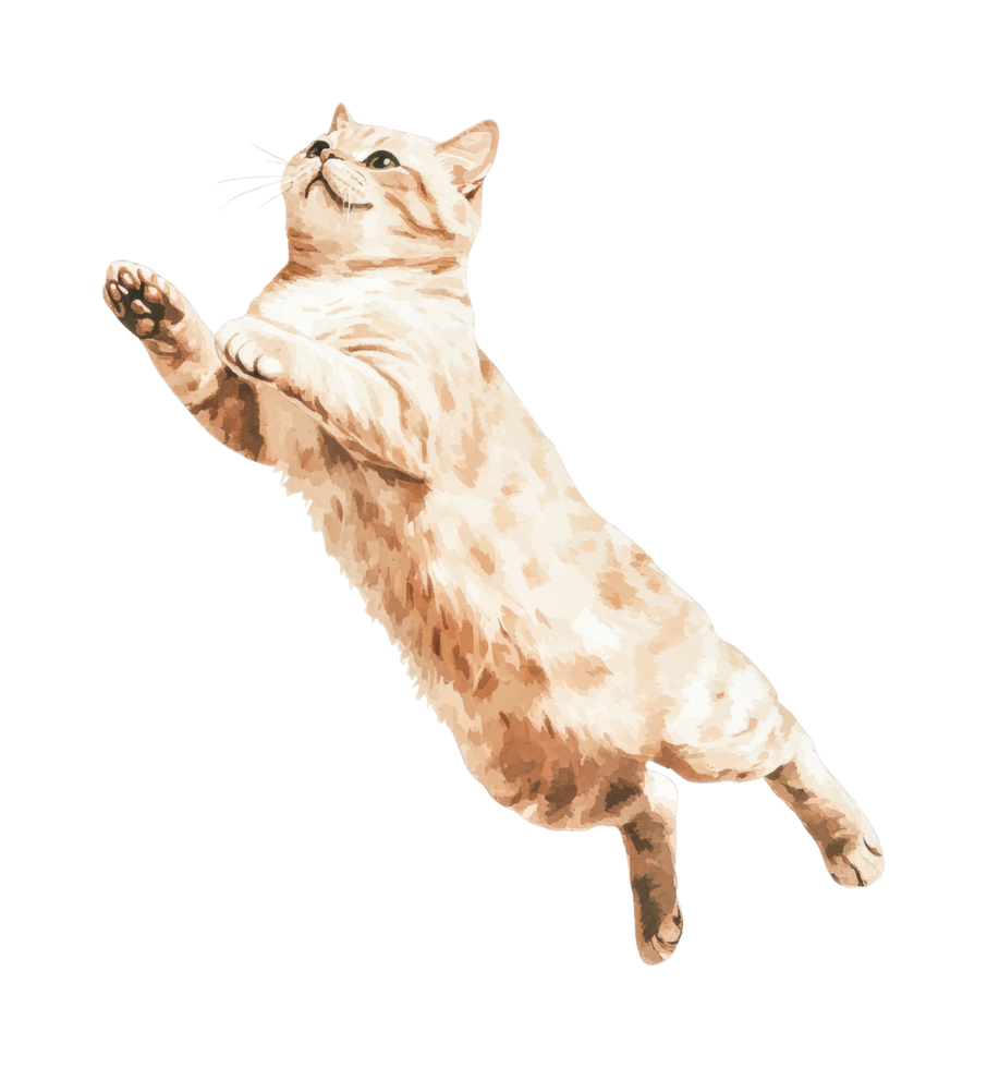 Playful cat in mid-air leap captures graceful motion and energy png