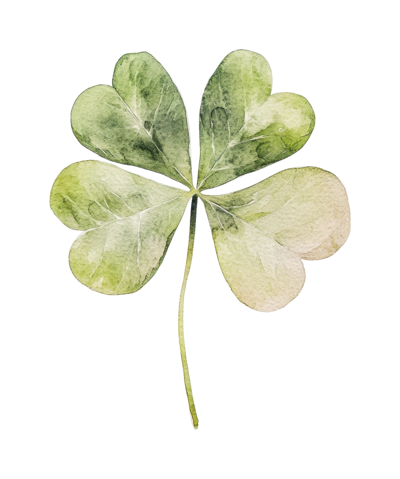 Realistic four-leaf clover with detailed green leaves png