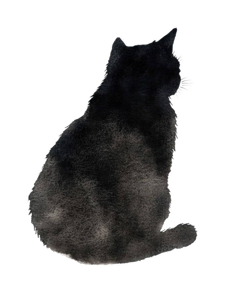 Silhouette of a seated cat looking away in profile view png
