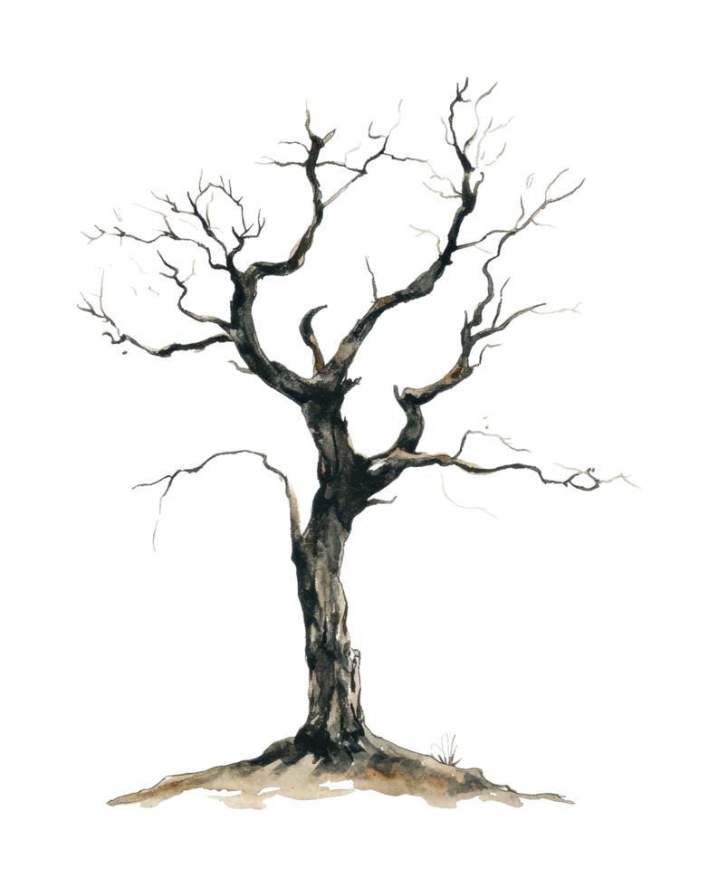 Bare tree with twisted branches in winter png