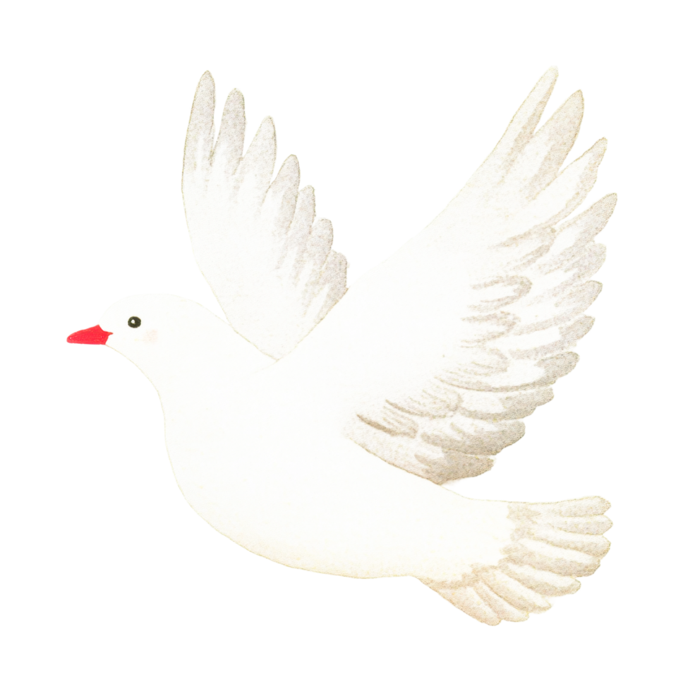 Graceful white dove in mid-flight with outstretched wings png