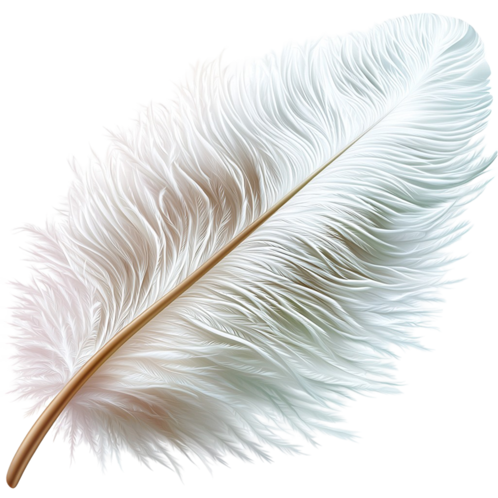 Feather White Soft Delicate Nature Craft Element Gentle and Beautiful png