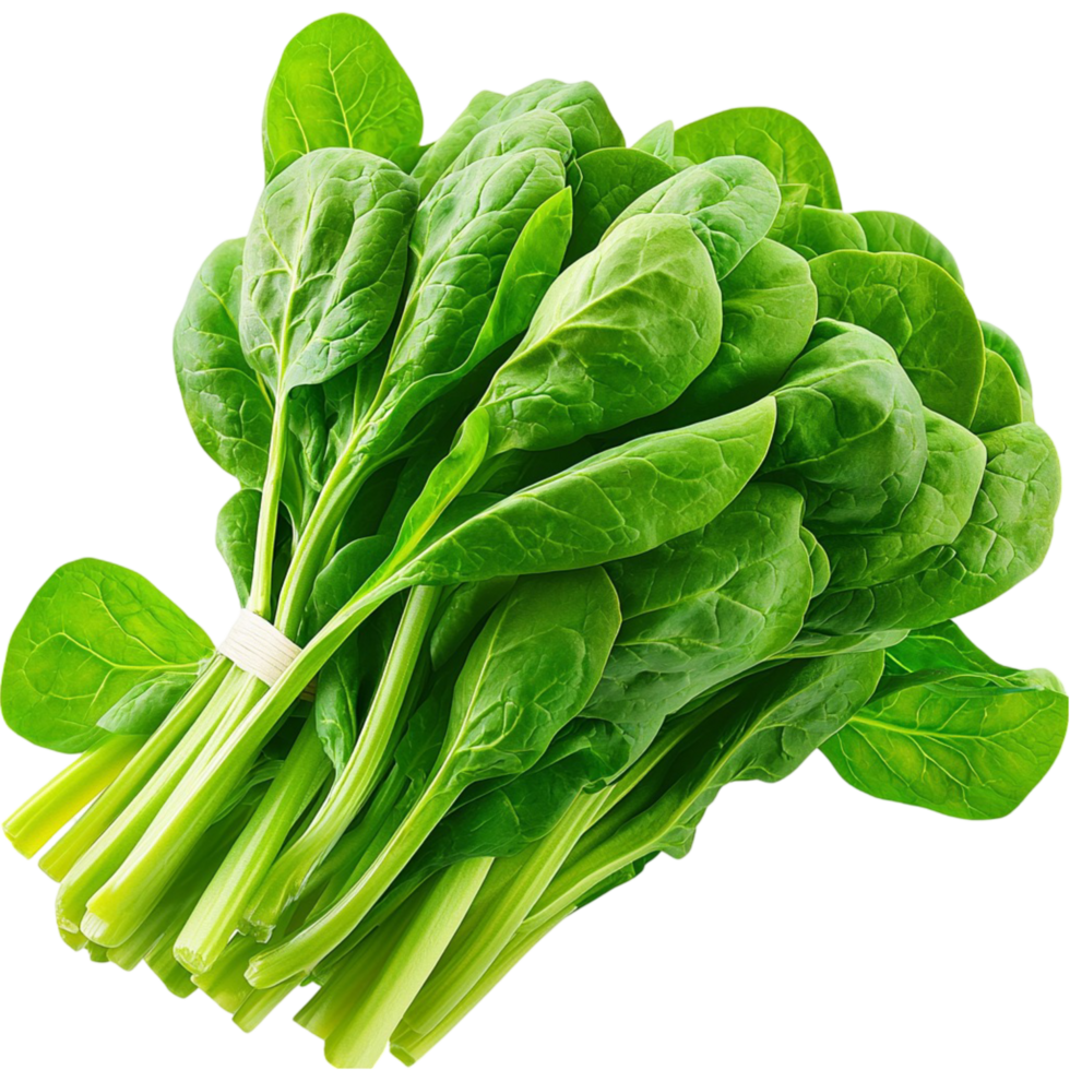 Spinach green fresh vegetable perfect for salads, providing a healthy, nutrientrich ingredient for your meals and boosting your diet png
