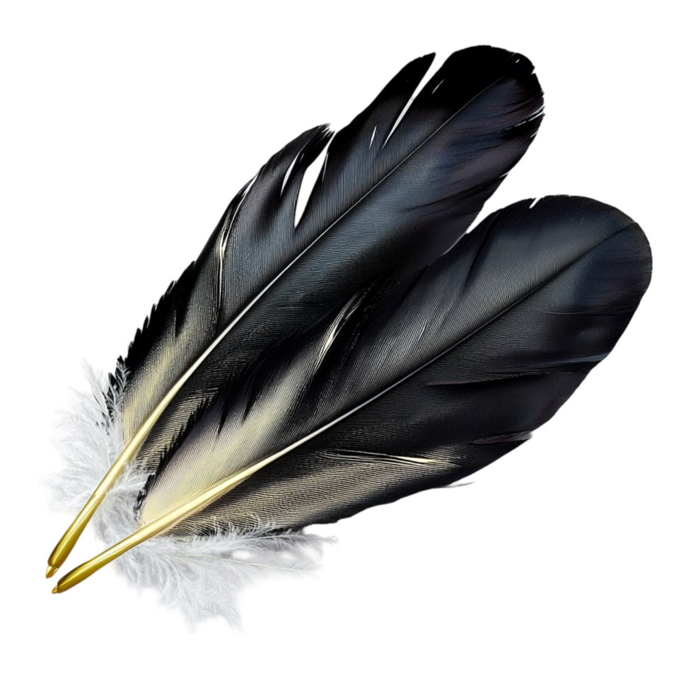 Black Feathers Bundle Elegant Design and Mysterious Style, A Romantic Decorative Piece that Brings a Touch of Drama and Charm, Perfect for Adding Elegance to Any Space or Special Occasion, png