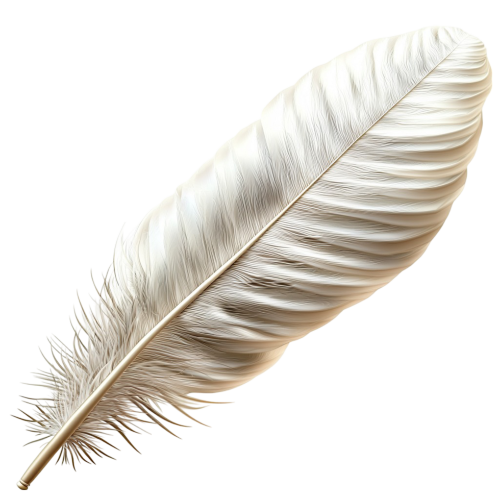 White Feather Nature Symbol,Soft white feather symbolizing elegance, purity, and festive charm, perfect as a decorative accessory foristic displays, boho vibes, or graceful seasonal arrangements. png