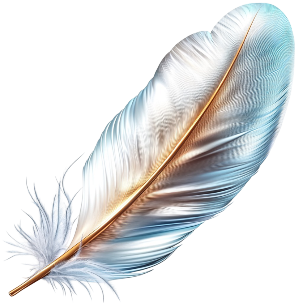 White Feather Nature Elegance Festive Symbol Decorative Accessory Charm Design png