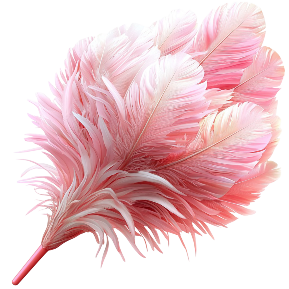 Pink Feathers Nature Elegance Festive Symbol Decorative Accessory Charm Design png