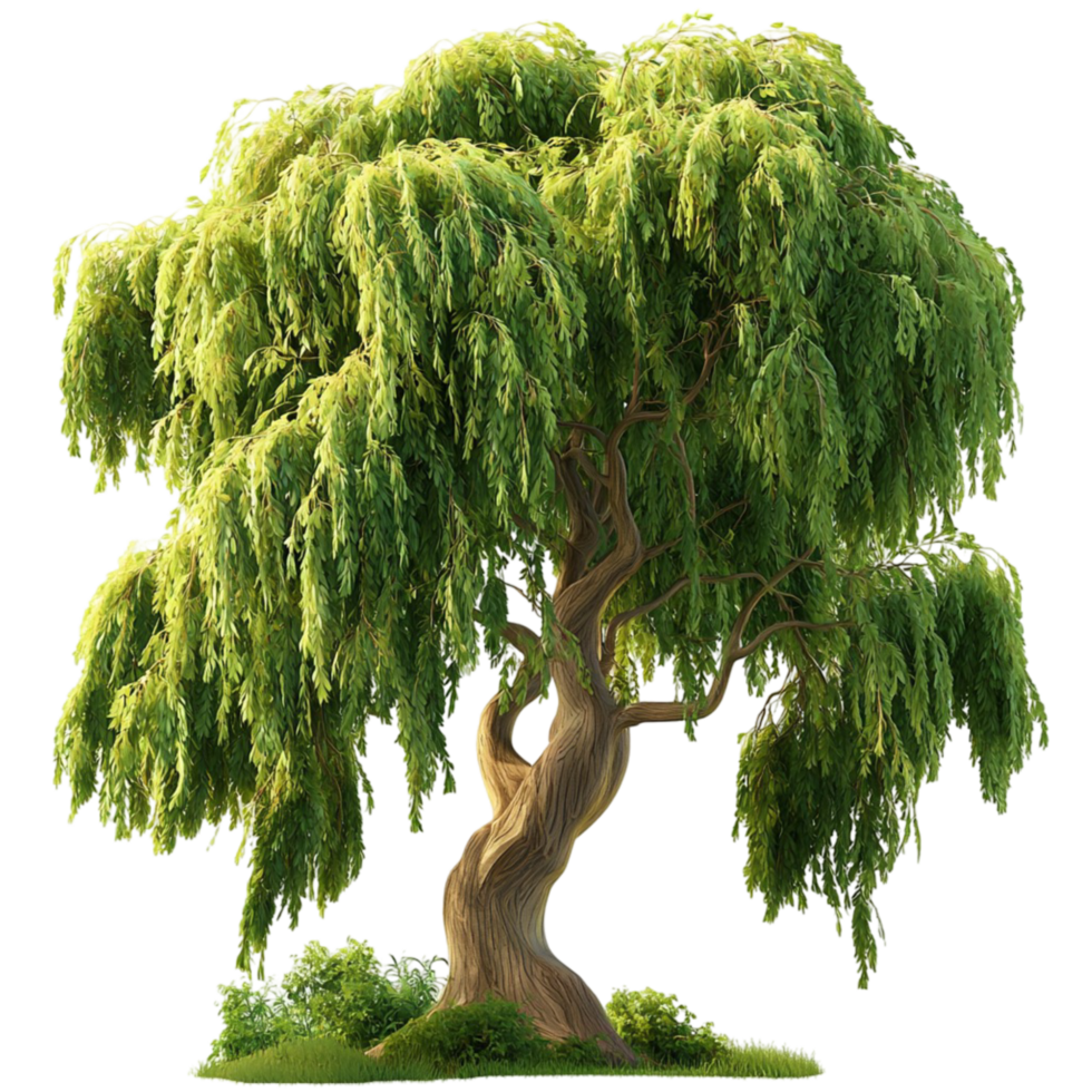 Enchanted Willow Tree Green Foliage Magical Glow Whimsical Design Fantasy Forest Element png