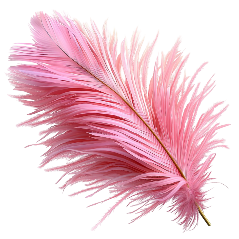 Pink Feather Quill Soft Texture and Elegant Design Functioning as a Vintage Writing Tool Providing Whimsical Flair for Creative Spaces and Classic Correspondence png