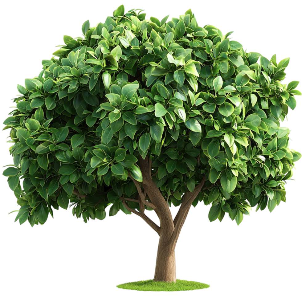 Green Tree Lush Foliage Natural Texture Whimsical Design Botanical Decor Element Charm png