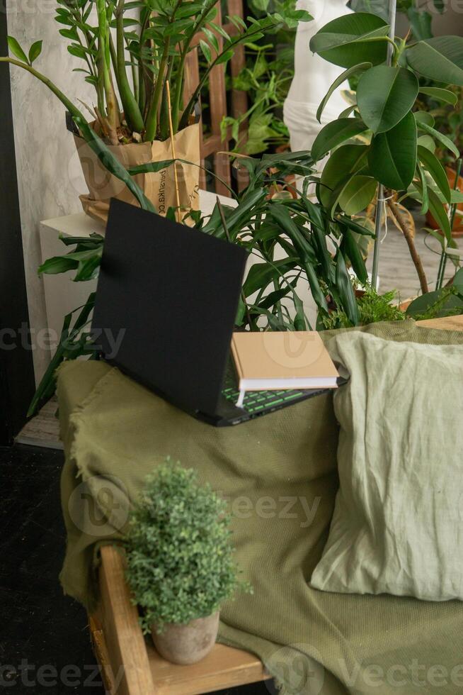 black laptop in the room. fragment of the interior with a variety of indoor plants and plaster sculptures. Urban jungle concept. Biophilia design. photo