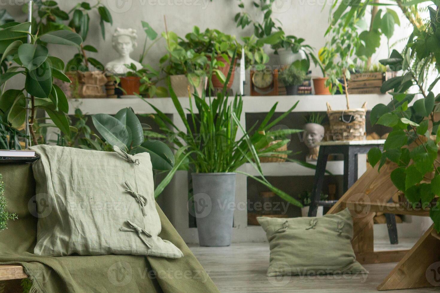 fragment of the interior with a variety of indoor plants and plaster sculptures. Urban jungle concept. Biophilia design. photo