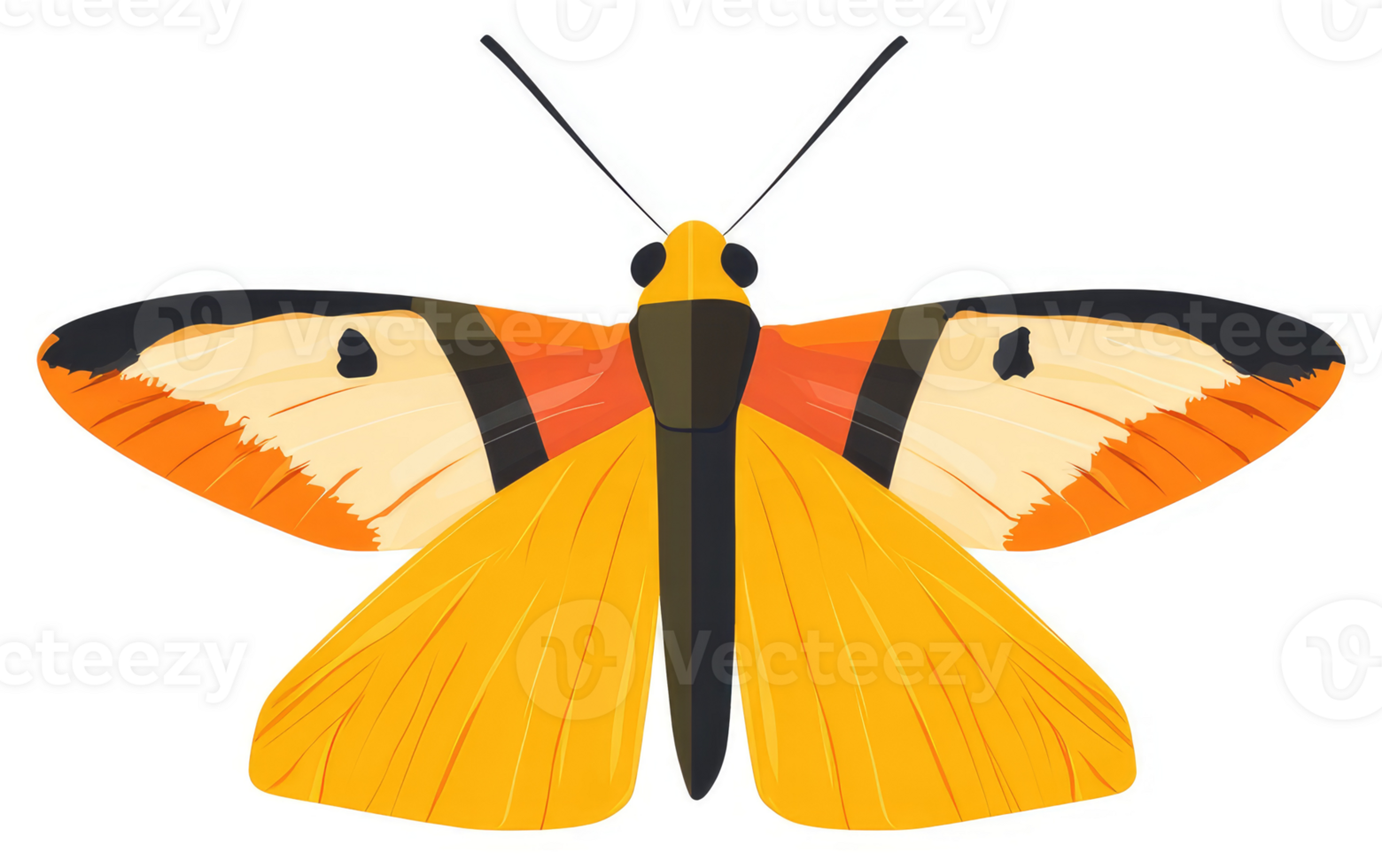 A vibrant illustration of an orange and yellow butterfly. png