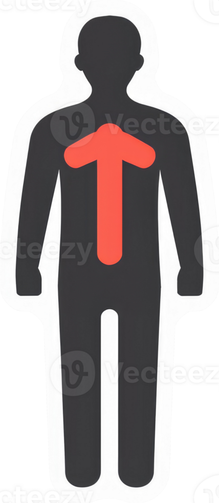 Graphic of a person with an upward-pointing red arrow on the chest. png