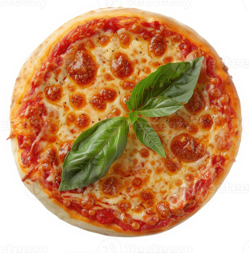 Close-up of a delicious round pizza topped with mozzarella cheese and tomato sauce. png
