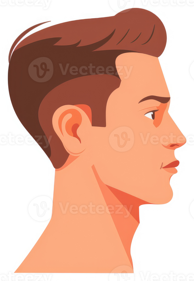 Profile view of a man with a short, styled haircut. png