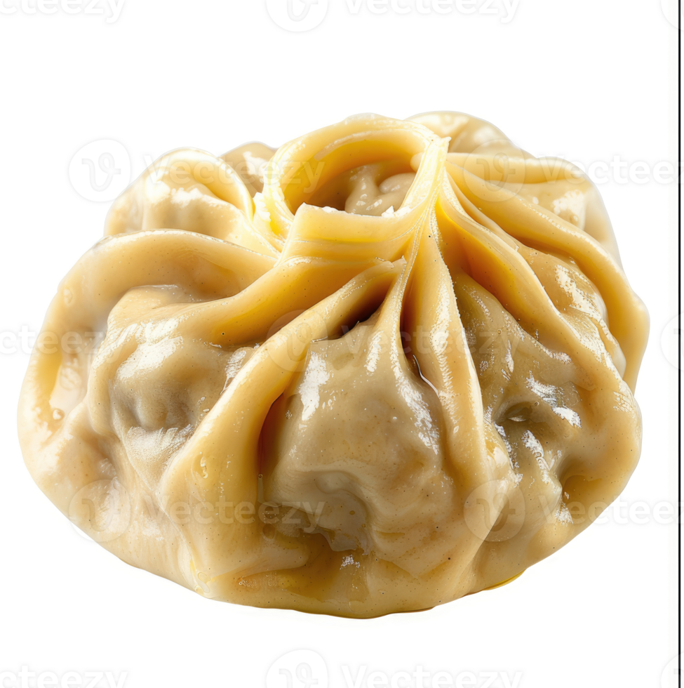 A close-up view of a savory, golden-brown dumpling. png