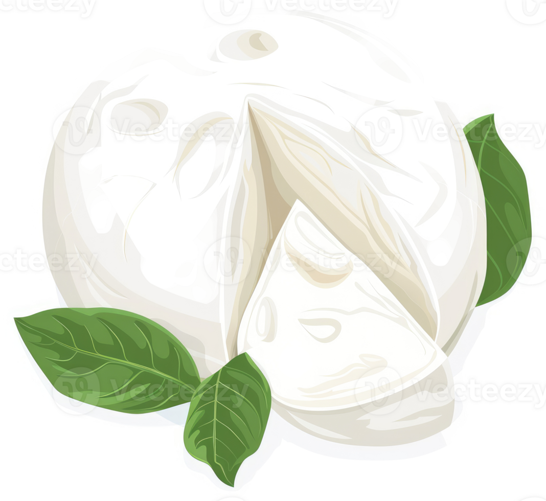 A sliced ball of fresh mozzarella with basil leaves. png